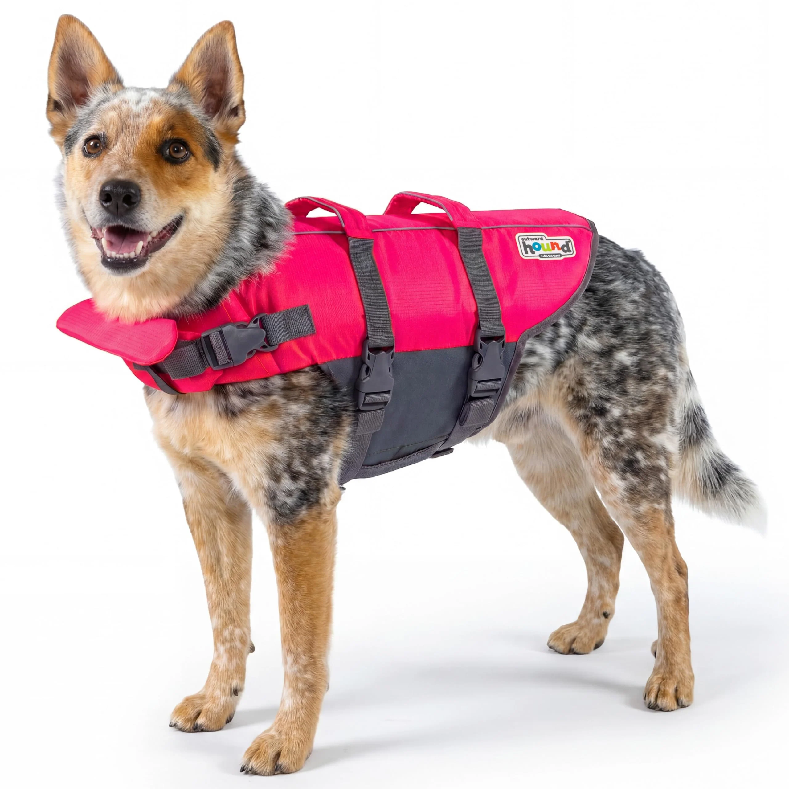 Certified Outward Hound Granby Splash Dog Life Jacket. Chosen for quality fits naturally into modern pet homes. Casual