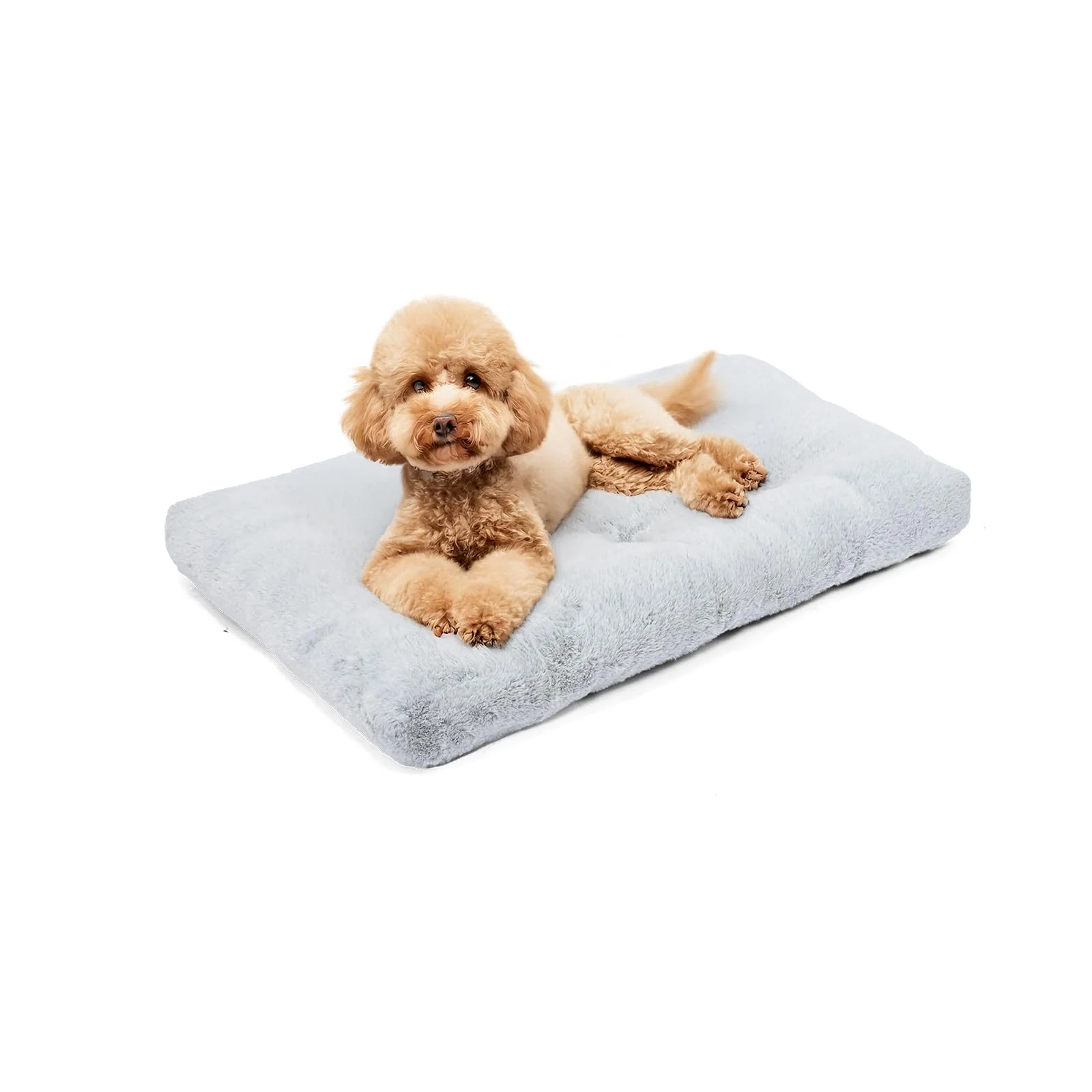 Unique Amazon Basics Small Dog Bed for Crate Anti-Slip 30x19x3 Inches Excellent