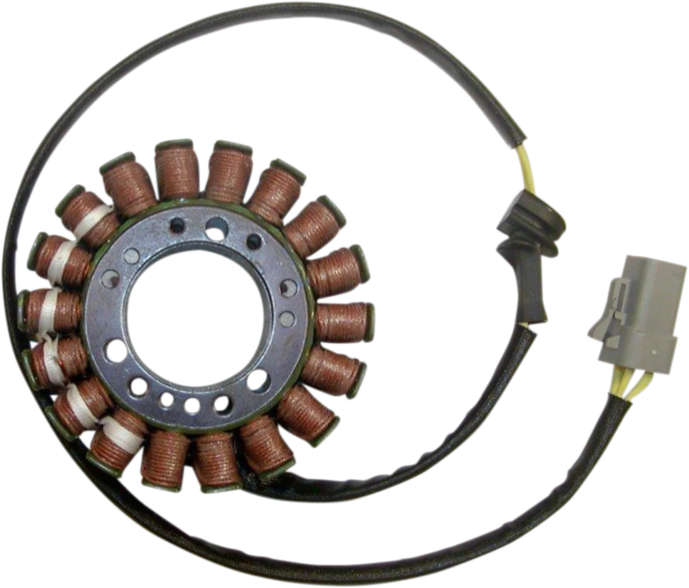 Soft RICK'S MOTORSPORT ELECTRIC Stator - Buell 21-040H Exceptional