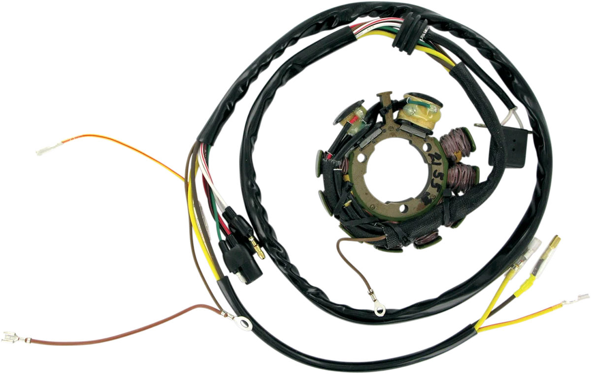 Certified RICK'S MOTORSPORT ELECTRIC Stator 21-553 Environmentally Friendly
