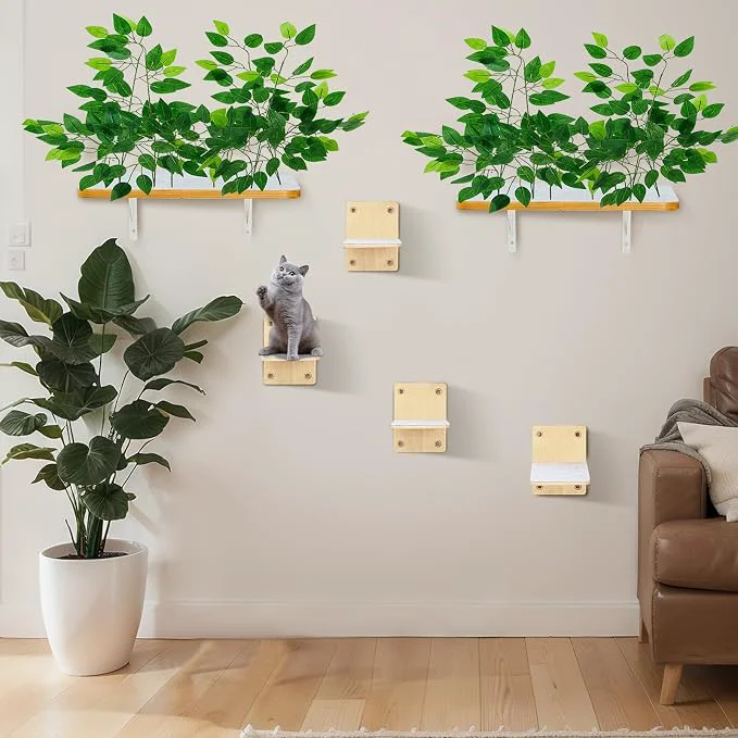 Lightweight Cat Wall Shelves with 4 Steps and Perches Unique