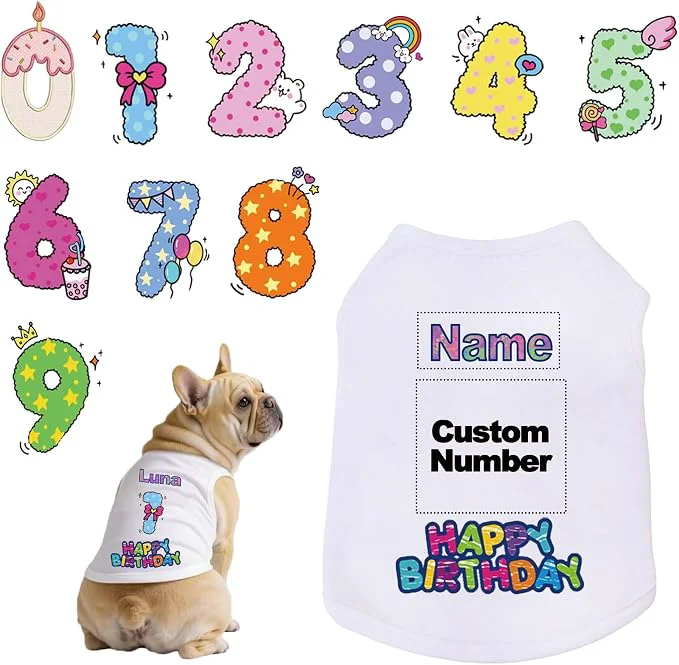 Responsible Custom Dog Birthday Shirt Personalized Pet Apparel Print Premium Material