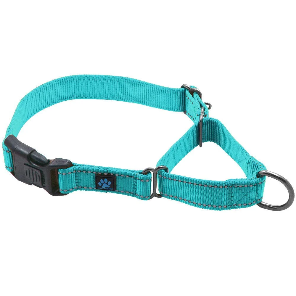 User-Friendly Max and Neo Nylon Martingale Collar – Teal Small 1 1 Rescue Donations Solid
