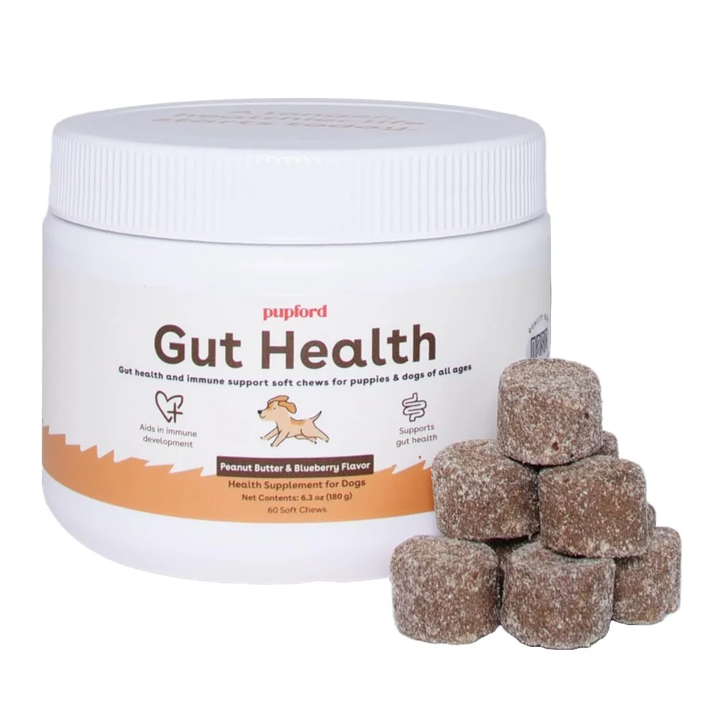 High-Performance Pupford Gut Health Immunity Supplement for Dogs — Vet USA Made Peanut Butter Jelly Quality
