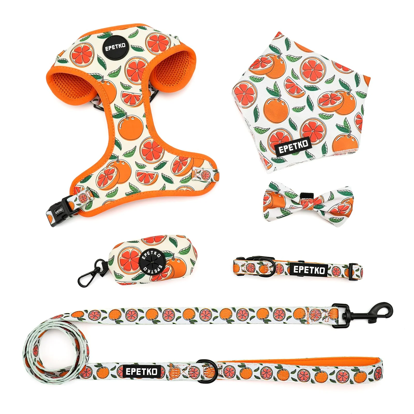 Carefully Designed EPETKO Small Dog Harness Leash Set 6‑Piece – No-Pull Lightweight Floral Pattern Professional