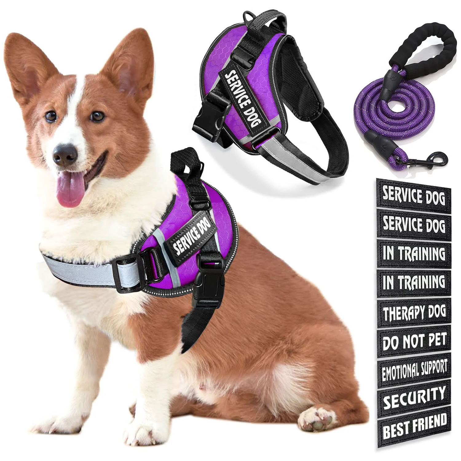 Smooth Bcadem Service Dog Vest with 9 Patches — No-Pull Harness Leash Set with Handle Reflective Night Safety Detailed