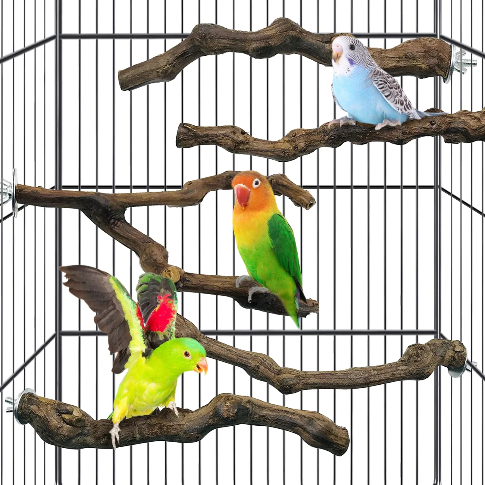 Exclusive Kathson 5pcs Natural Parrot Perch Set — Grapevine Cage Perches for Budgies Small Birds Traditional