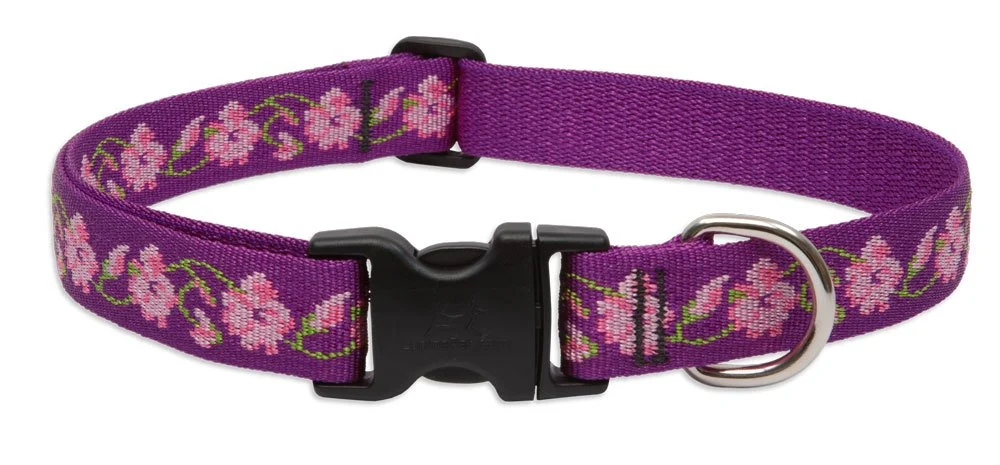 User-Friendly LupinePet s 1-Inch Rose Garden Adjustable Collar for Large Dogs 16–28 Inch Neck Crafted