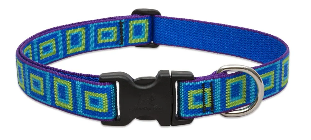 Long-Lasting LupinePet s 1-in Sea Glass Collar for Large Dogs 16-28 in - Adjustable Sophisticated