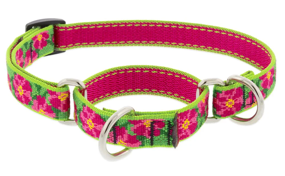 Convenient LupinePet Small Martingale Collar – Petunias 3 4-Inch Fits 10–14 Inches Specialty