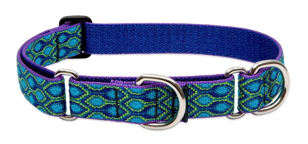 Powerful LupinePet s 1-In Rain Song Martingale Collar for Medium Large Dogs 15–22 in Premium Material