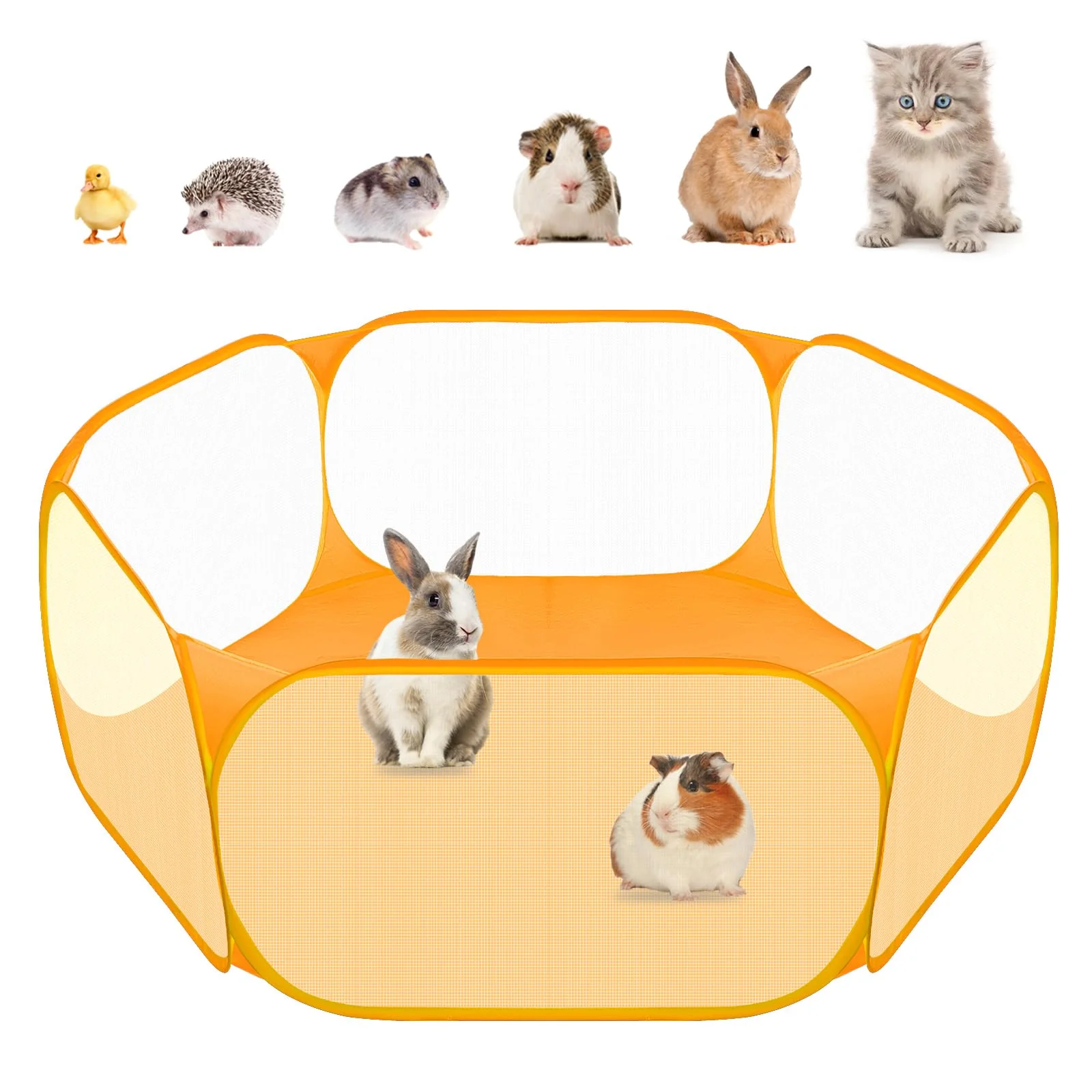 Fine Crafted Amakunft Small Animal Playpen – Pop-Up Portable Exercise Fence for Guinea Pigs Rabbits Hamsters Easy-to-Use