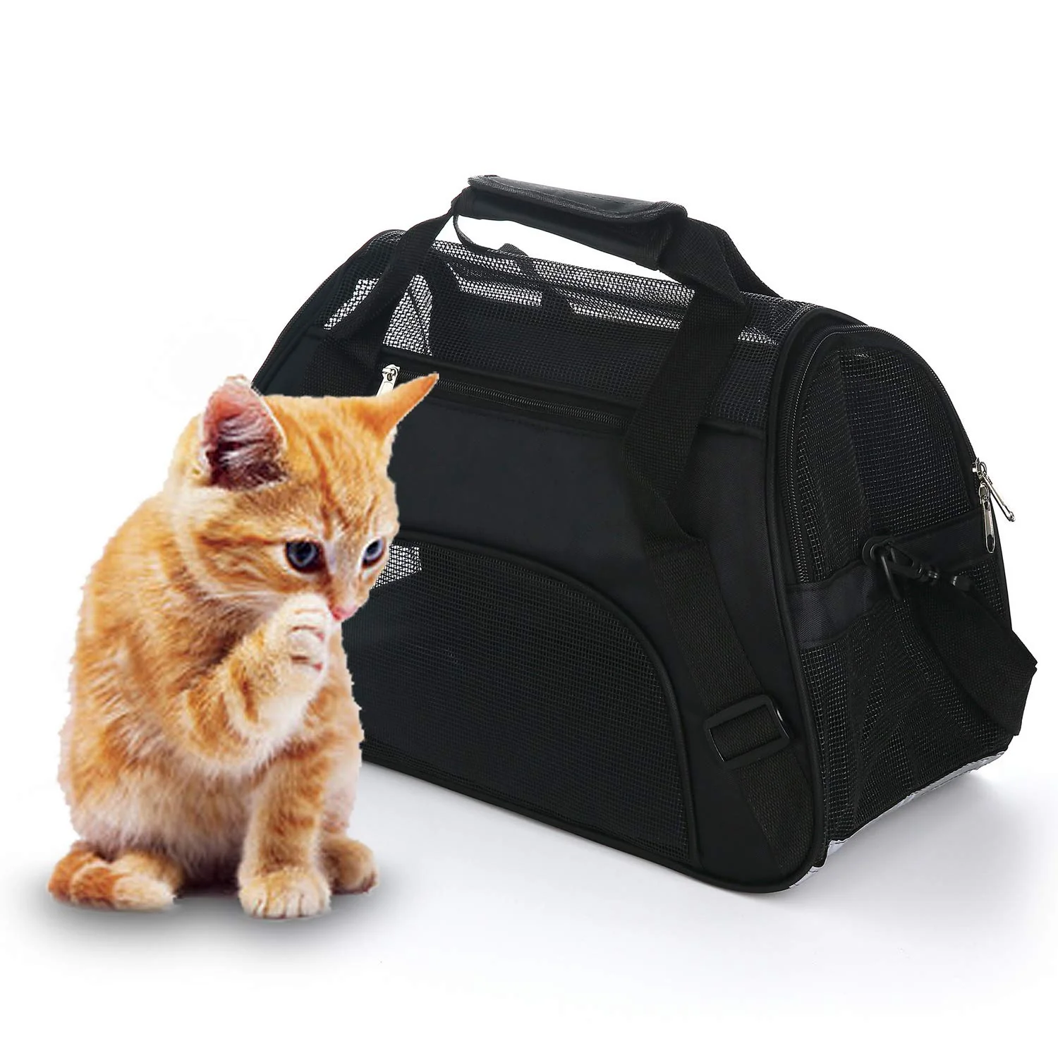 Green MuchL Pet Carrier Soft-Sided Medium for Cats Dogs – Airline Black Convenient