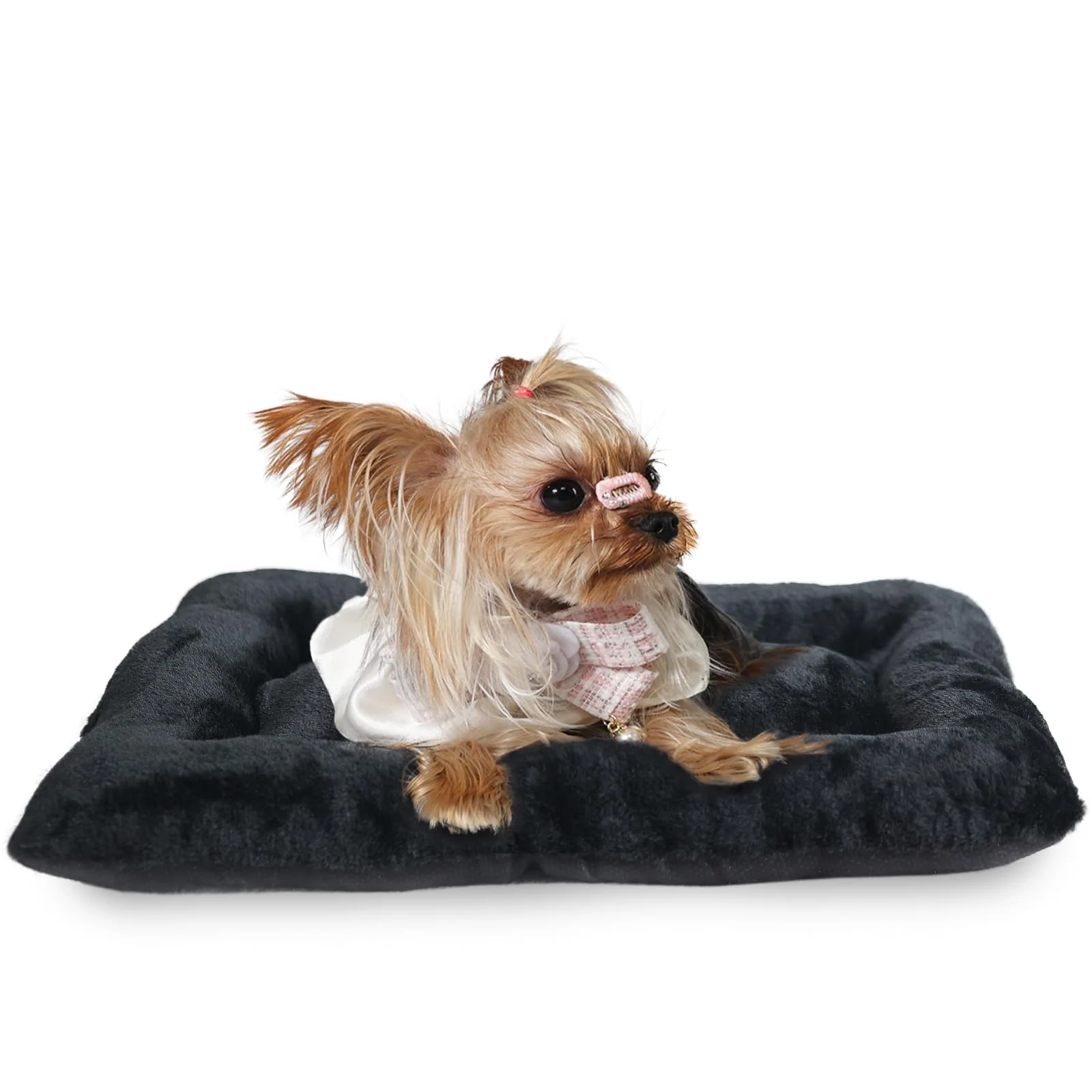 Advanced zihapgpzp Tiny Dog Bed 18x12 – Ultra Soft Crate Mat for Extra Small Dogs Cats Effective