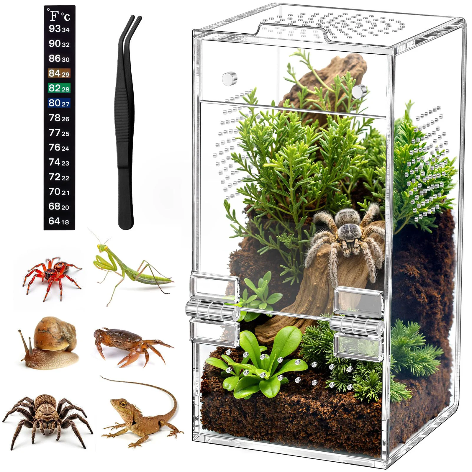 Dependable CourtyardAid Jumping Spider Enclosure – Pre-Assembled Acrylic Terrarium 3.5×3.5×7 in Authentic