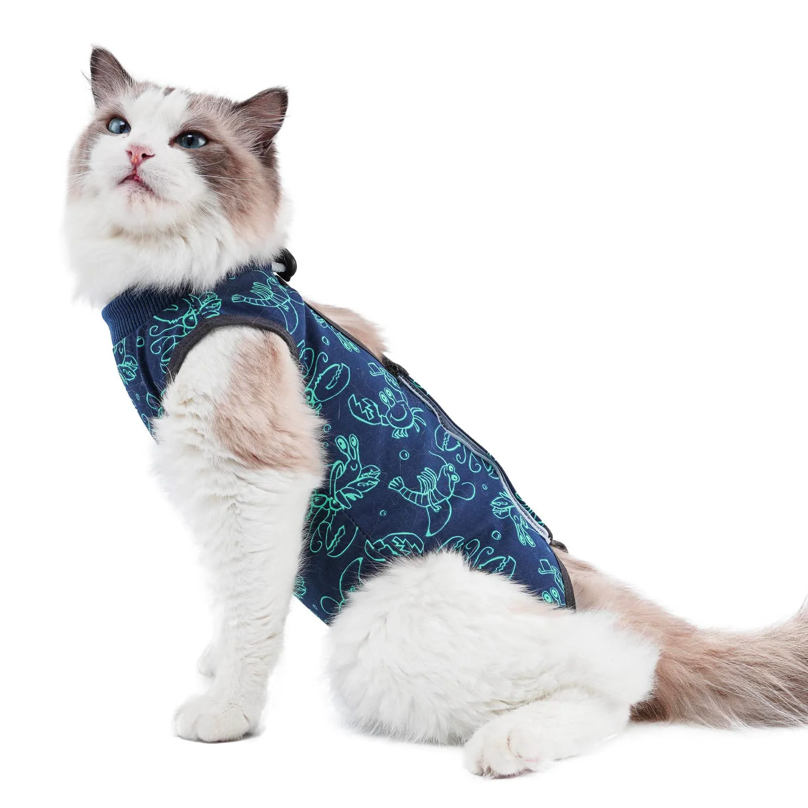 High-Grade kzrfojy Cat Surgery Recovery Suit - After-Surgery Cat Bodysuit Dark-Blue-L Elite