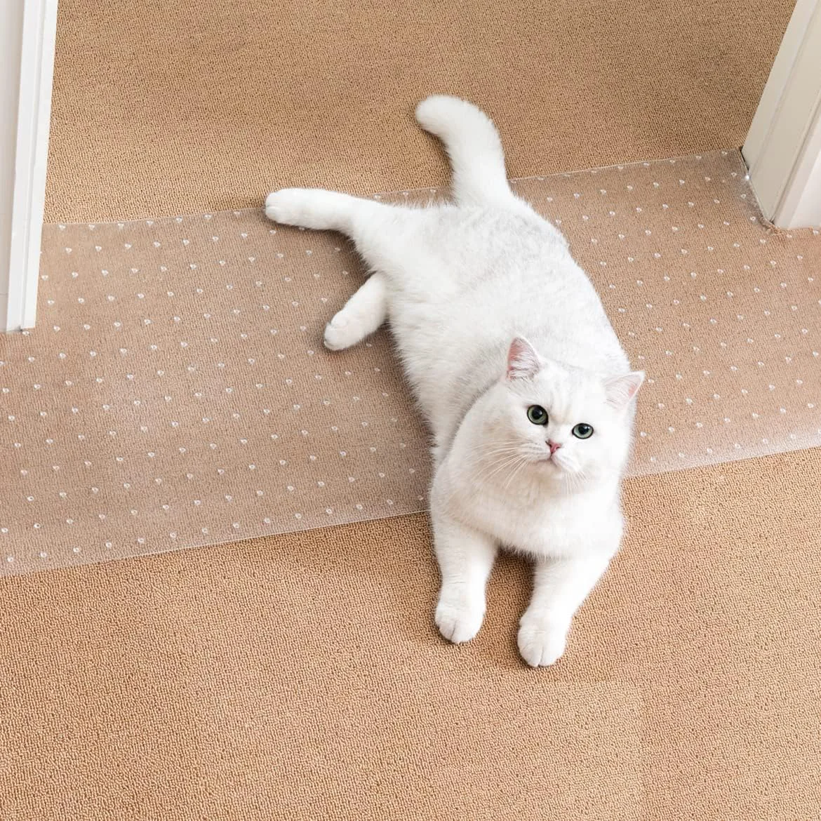 Top-Quality Uross Carpet Protector for Pets – Cat Scratch Guard Mat Anti-Scratch Under Door Guard Easy to Cut PVC 3.6 ft Pure