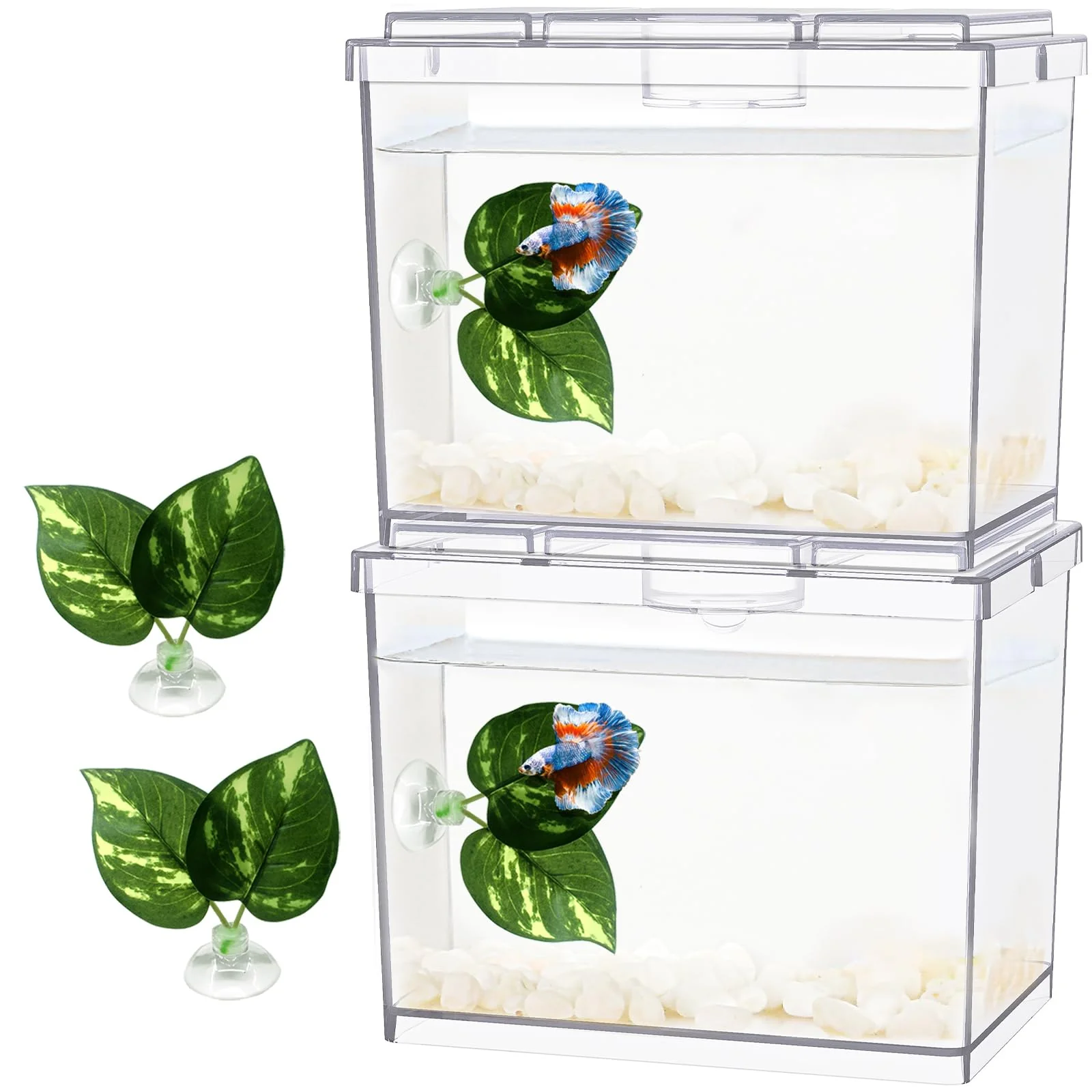 Contemporary MoonOrange Mini Betta Tank 2-Pack — 0.2 Gallon Stackable Cube Tanks with Betta Leaf Gravels Breathable
