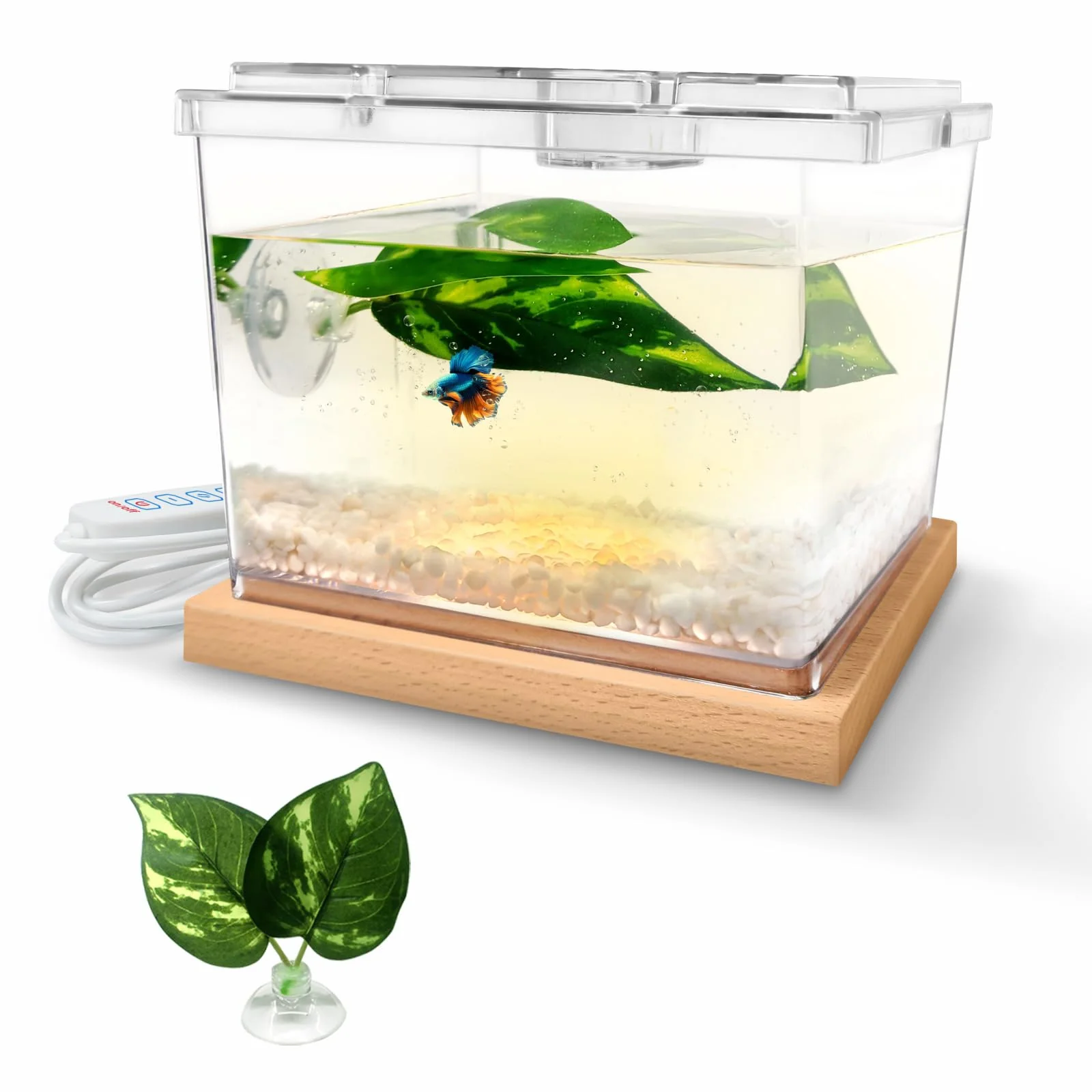 Convenient MoonOrange Mini Betta Tank Kit with LED Base — 0.2 Gallon Stackable Cube High-Performance