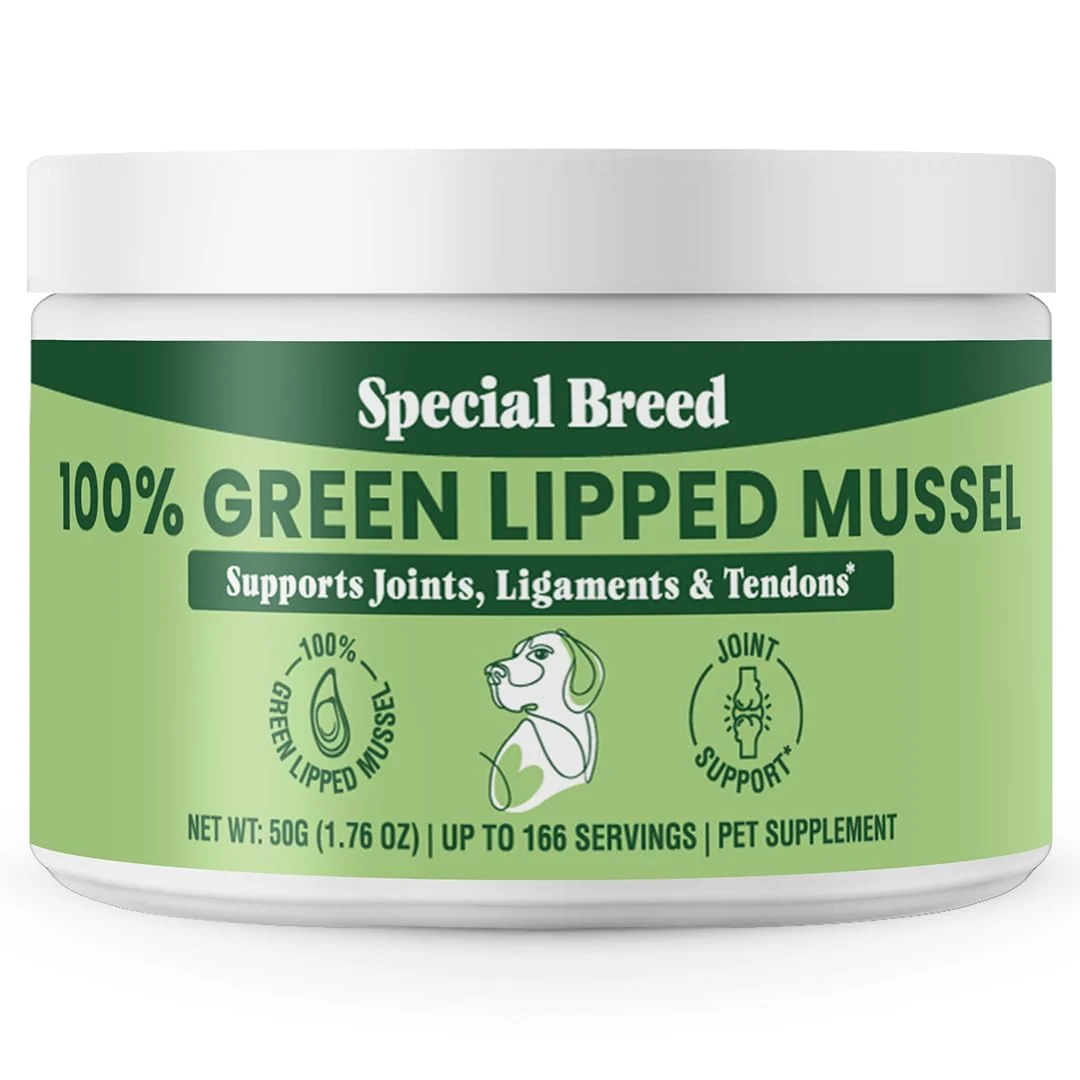 High-Grade Green Lipped Mussel Powder for Dogs Cats — Special Breed Minimalist