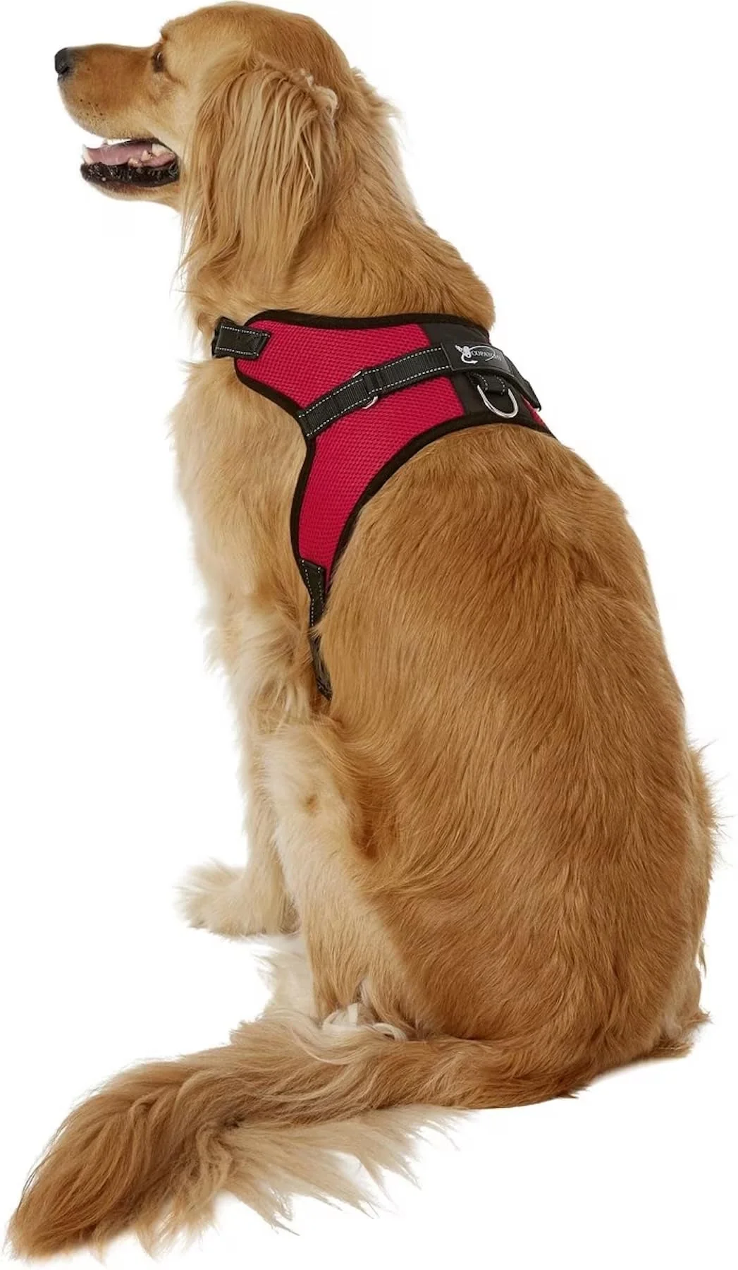 Superior Copatchy No Pull Reflective Adjustable Dog Harness with Handle - All-Weather Easy On Red Large Contemporary