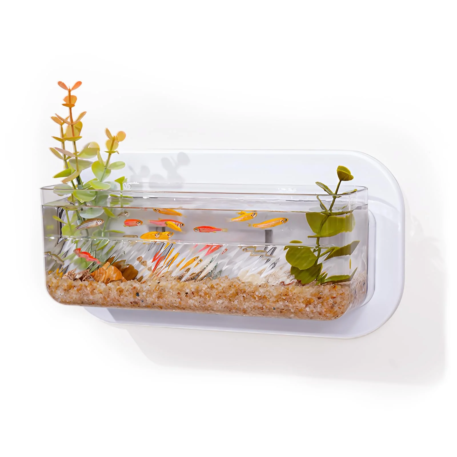 Smooth Pcmursal Wall Hanging Fish Bowl – Wall Mounted Aquarium Plant Pot Environmentally Friendly