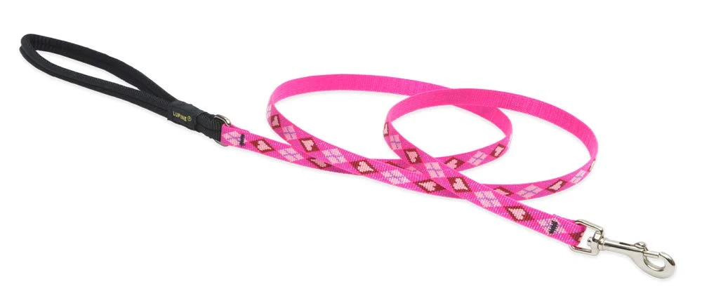 Efficient LupinePet s Puppy Love 4-Foot Padded-Handle Leash for Small Pets Contemporary