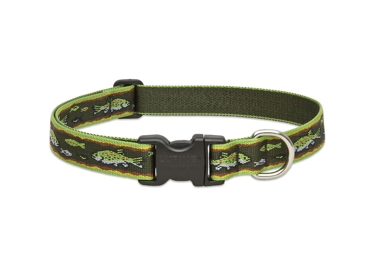 Artisan LupinePet s 1-Inch Brook Trout Collar for Large Dogs — 16-28 Inch Adjustable Even if Chewed Practical