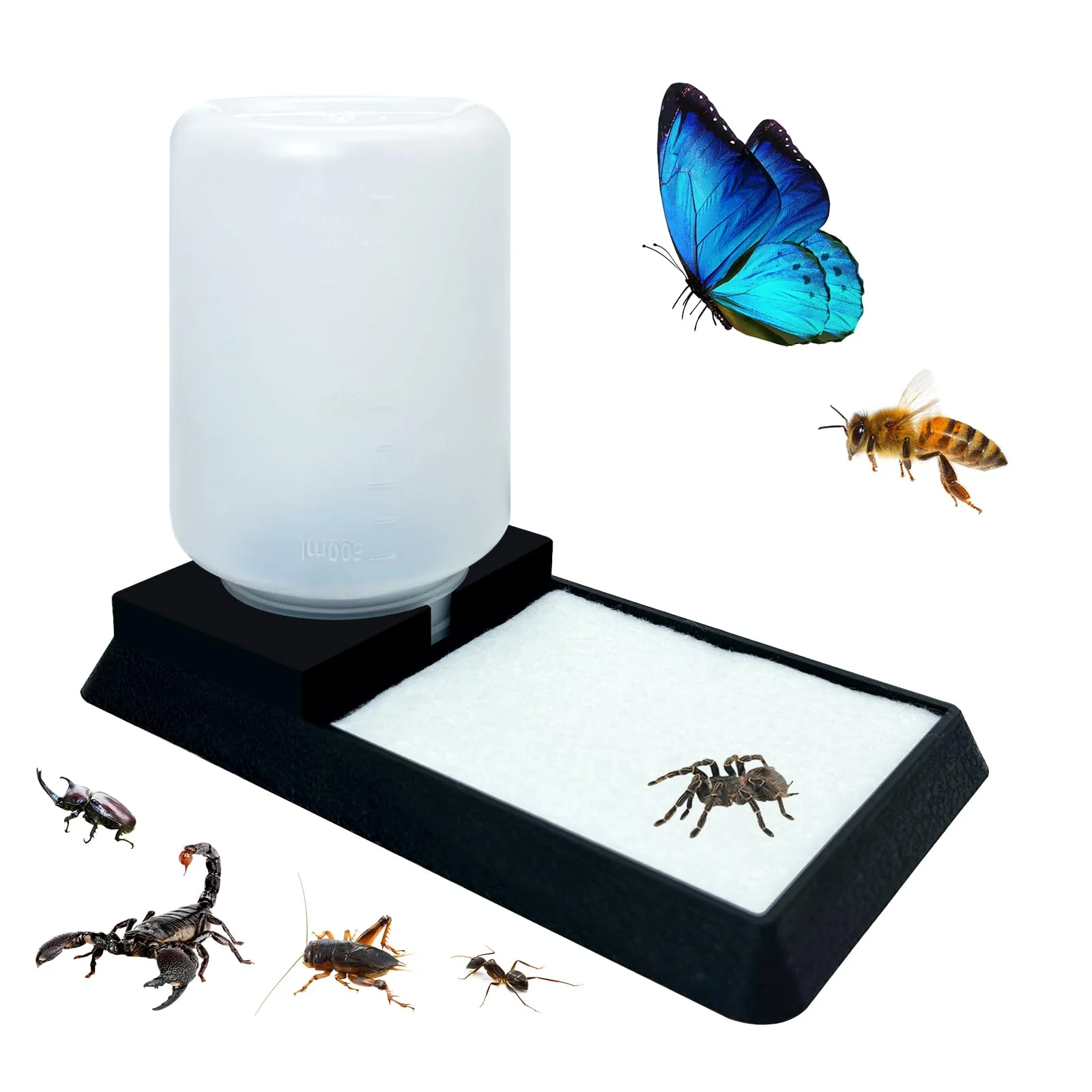 First-Class KFPSHLQE Insect Water Feeder – Gravity Water Station for Spiders Crickets Small Enclosures Traditional