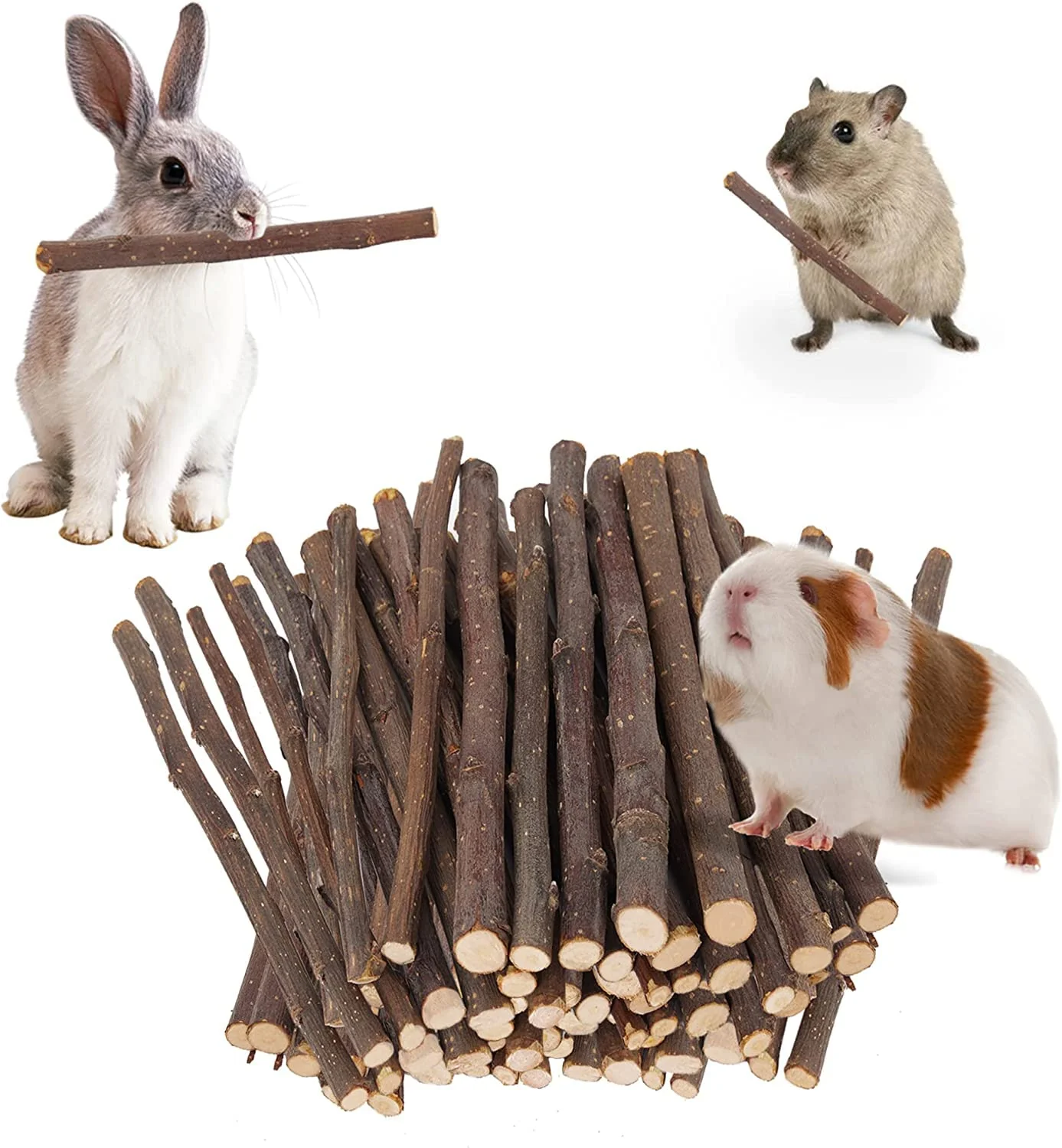 Innovative Petawi Apple Sticks Molar Wood Treats for Small Animals 200 Pcs 700g Quality