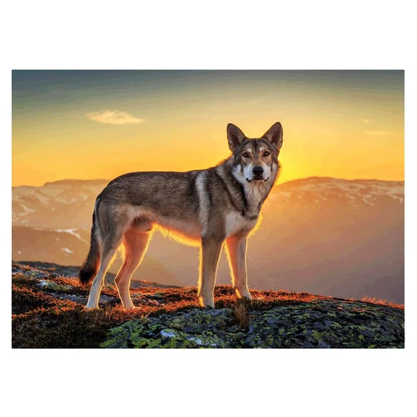 High-End Maxbell DIY Diamond Painting Embroidery Paint By Number Kits Animal Stylish