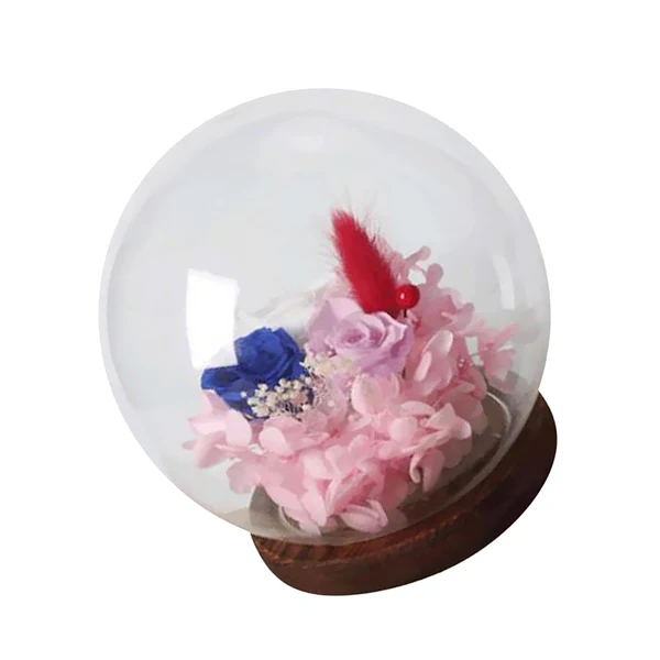 Classic Maxbell Maxbell Transparent Bulb Shape Glass Cover DIY Microlandschaft Display Terrarium Vase with Eternal Flower World-Class