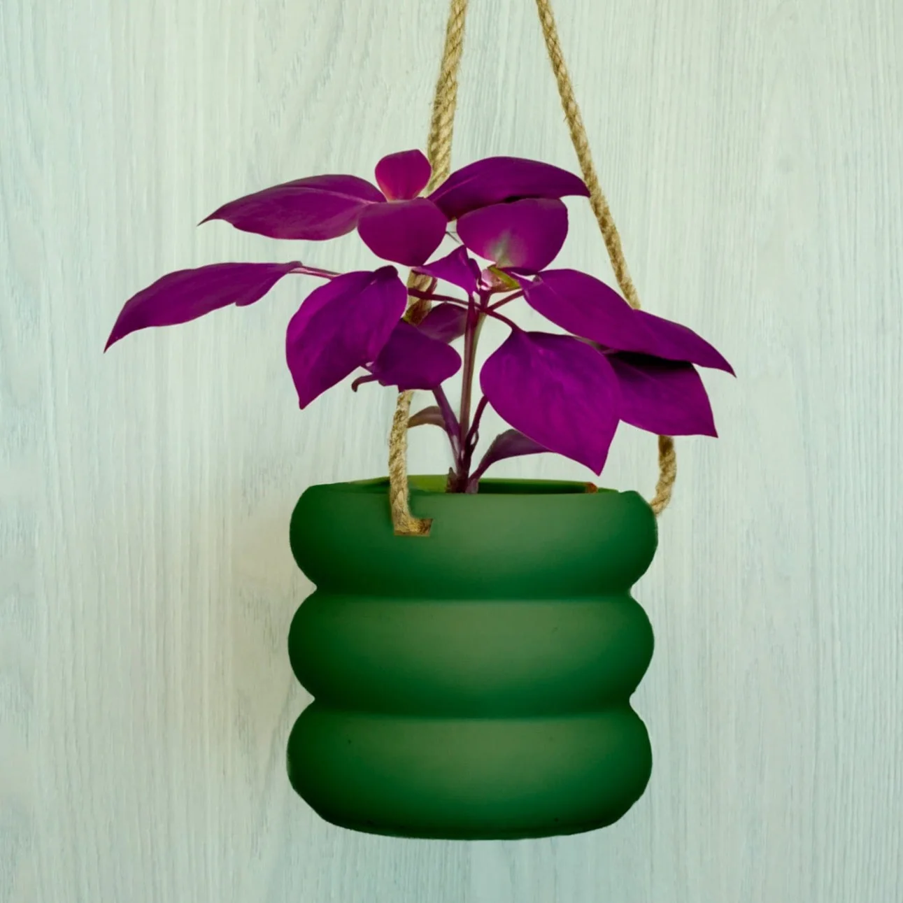 Carefully Designed Hanging Bubble Plant Pot Next-Generation