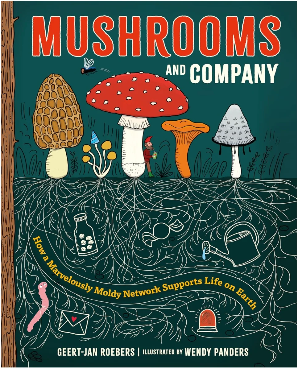 Sustainable Mushrooms and Company Comfortable