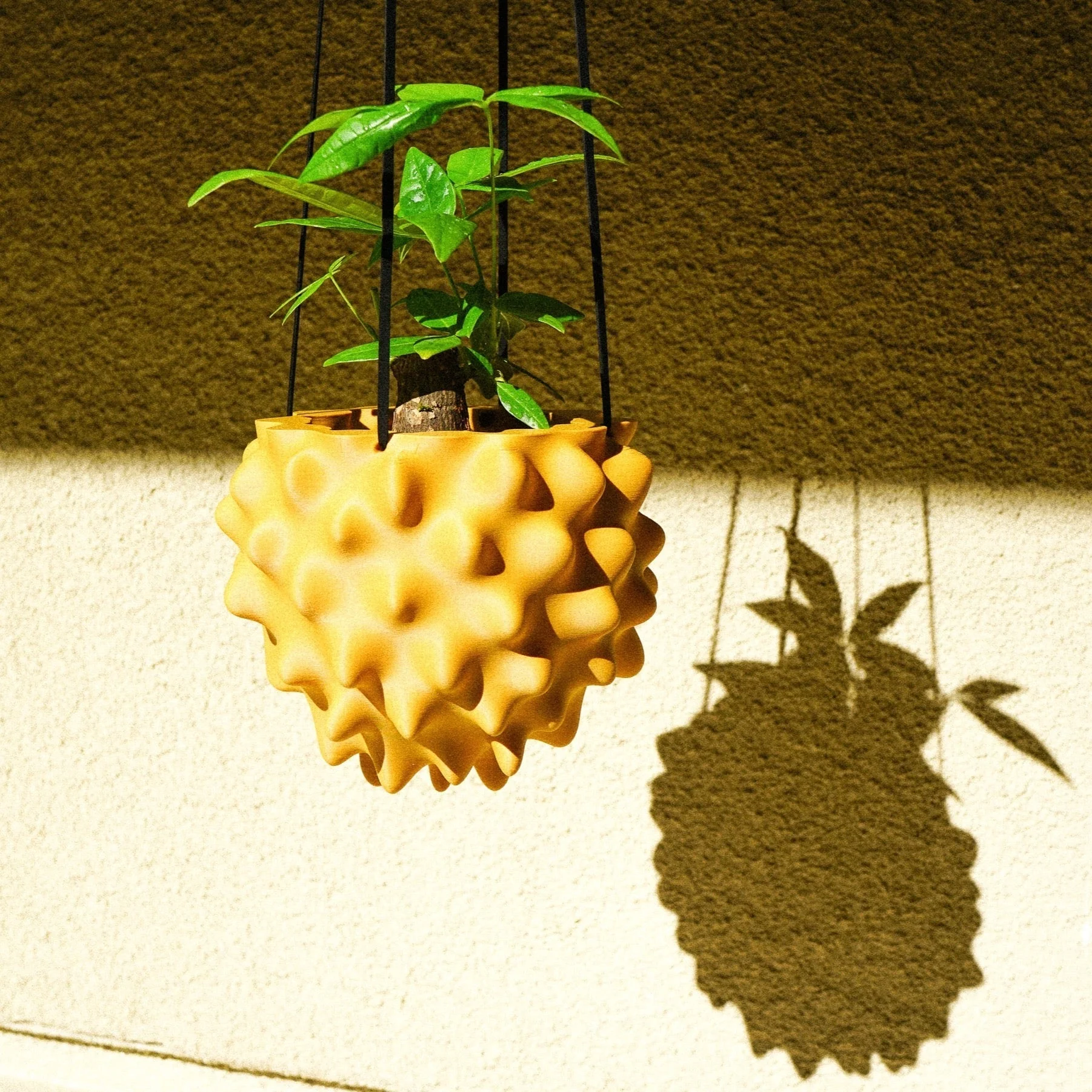 Certified The Creature Orb Hanging Planter Pot With Drainage Sustainable