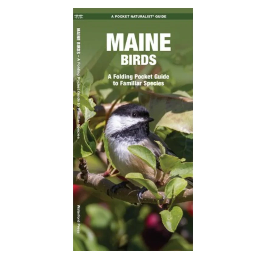 Durable Pocket Maine Birds Guide Elegant