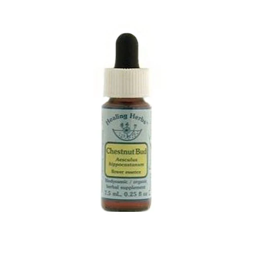 Practical Flower Essence Chestnut Bud Herbal Supplement Dropper - 0.25 Oz High-Quality
