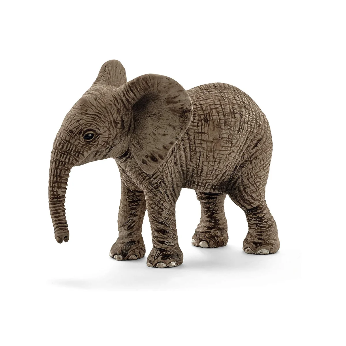 Detailed Elephant African Calf Easy-to-Use