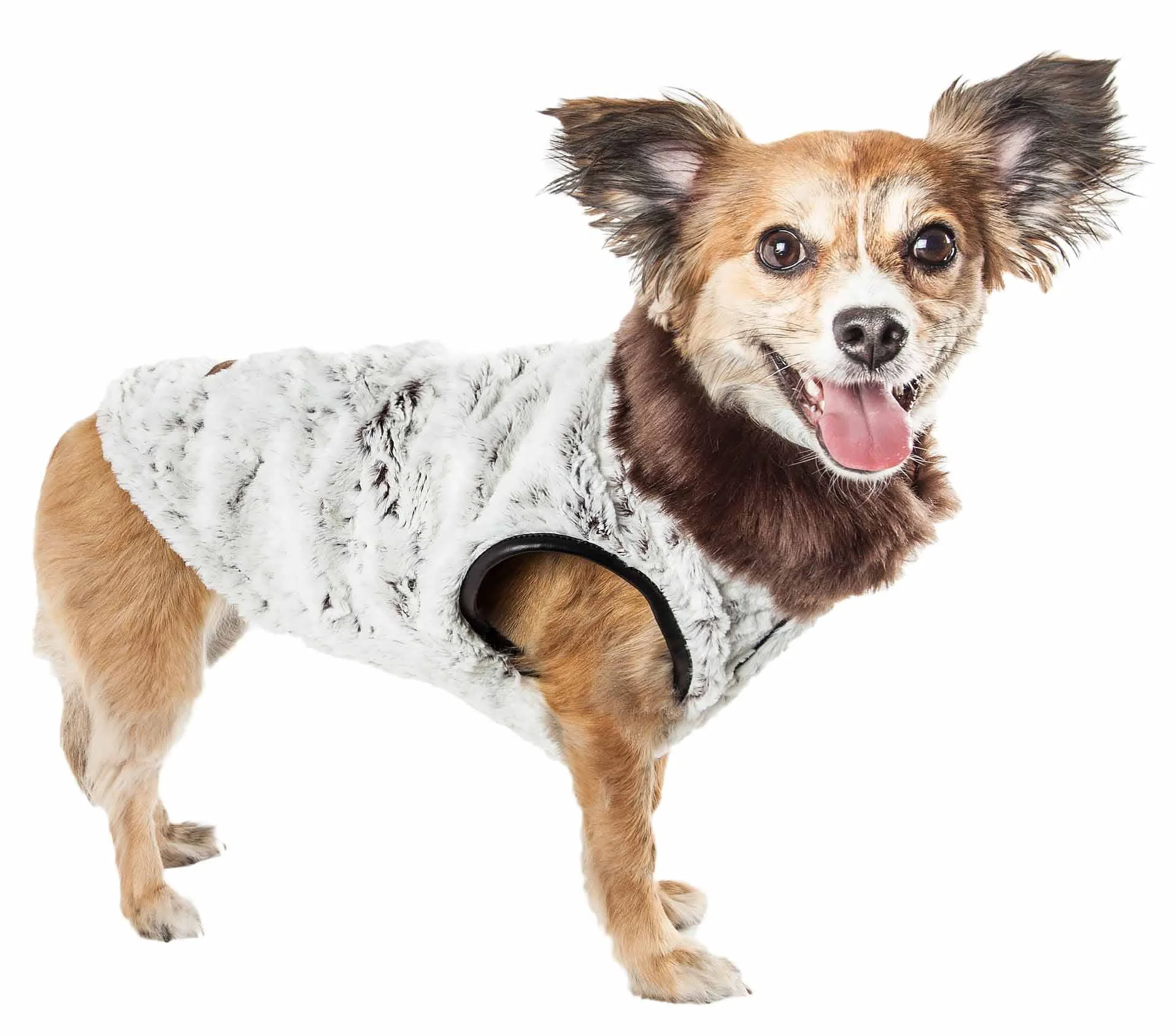 Smooth Pet Life Luxe 'Purrlage' Pelage Designer Fur Dog Coat Jacket Convenient