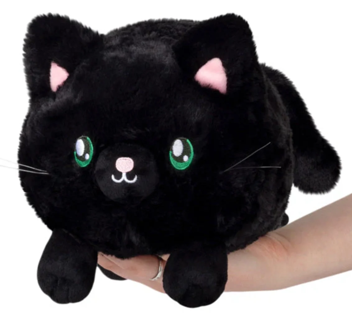 User-Friendly Black Kitty Mini Prestigious
