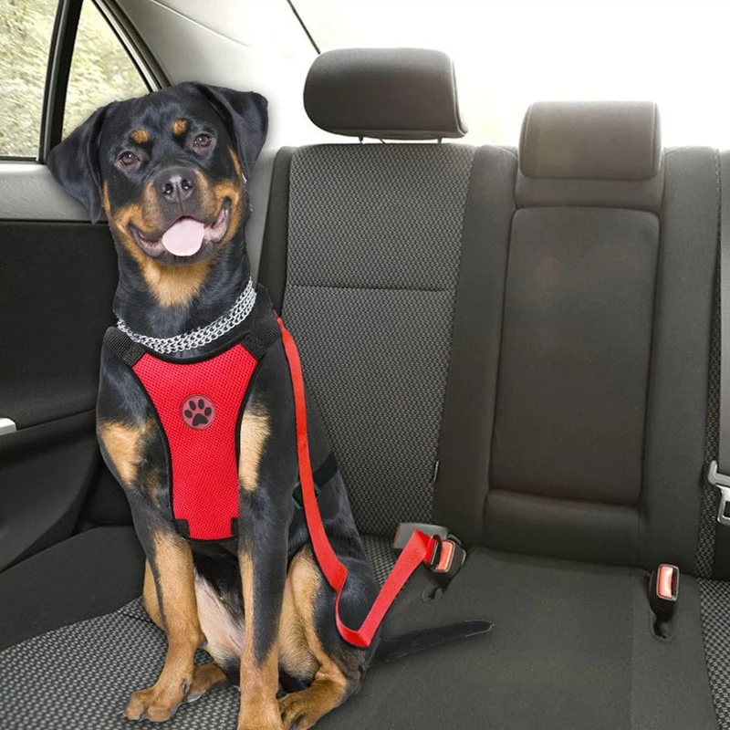 Pure Dog Car Harness Seat Belt Restraint Unique
