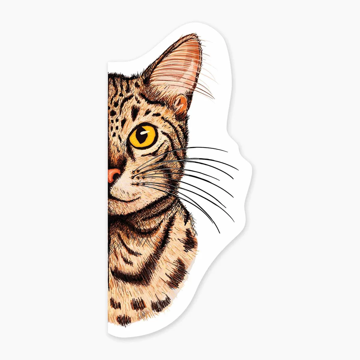 Original Design Pitten Kitten Sticker Fast