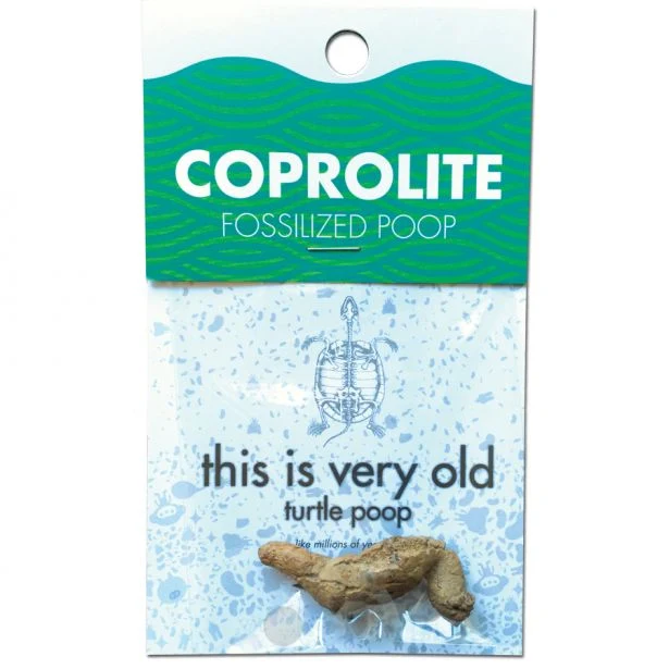 Stylish Coprolite Turtle Poop Durable